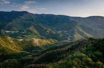 Tætte skove i Appenninerne - Toscana - Italien