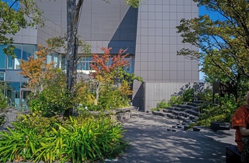 Tagterrassen på shoppingcenteret Tokyu Plaza Omotesando - Tokyo