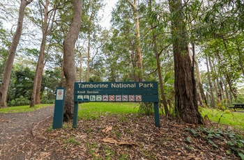 Velkommen til Tamborine National Park i Queensland - Australien