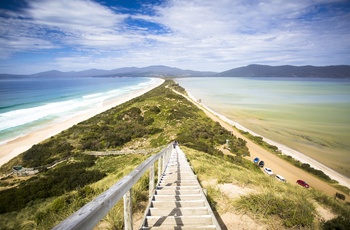 Freycinet Experience Walk, Tasmanien