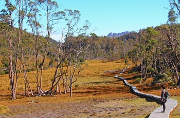 Cradle Mountain i St Clair National Park, vandring - Tasmanien