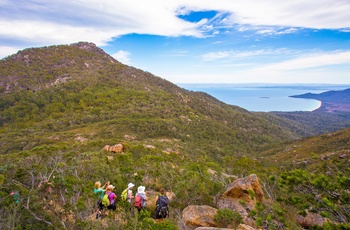 Freycinet Experience Walk, Tasmanien