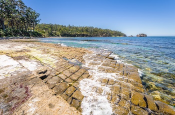 Tesselated Pavement i Tasmanien, Australien