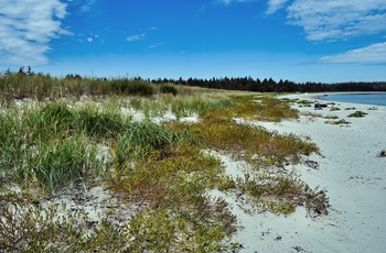 Sandstrand i Taylor Head Provincial Park - Nova Scotia i Canada