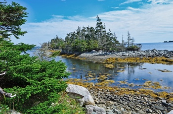 Smuk natur i Taylor Head Provincial Park - Nova Scotia i Canada