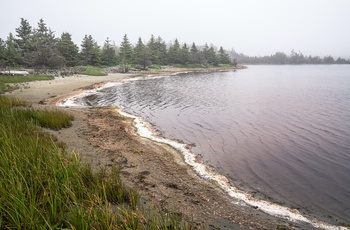 Strand i Taylor Head Provincial Park - Nova Scotia i Canada