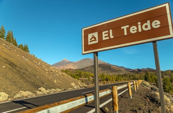 Vej og vejskilt mod vulkanen Teide på Tenerife