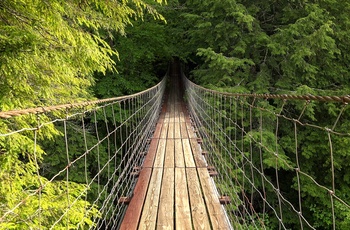 Gangbro i Fall Creek Falls State Park - Tennessee