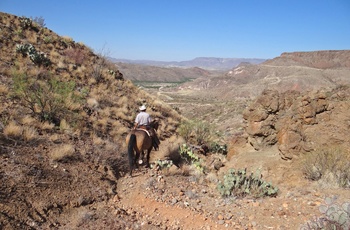 På ridetur lige uden for Big Bend National Park i Texas, USA