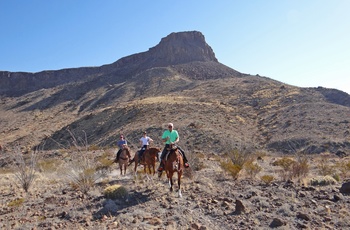 Ridetur fra Lajitas og gennem Big Bend Ranch State Park, Texas i USA