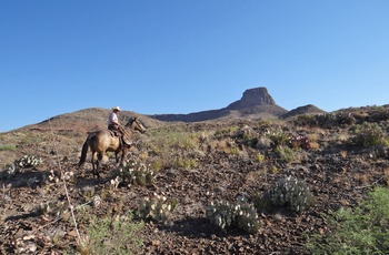 På ridetur med guide fra Lajitas i sydvest Texas, USA