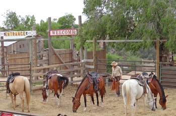 Heste uden for Palo Duro Canyon State Park i Texas, USA