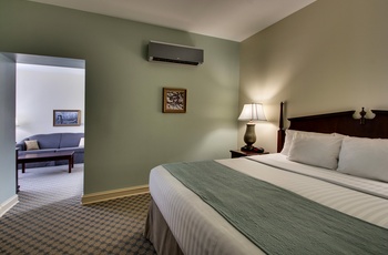 The Inn at Wise, Suite med King Bed