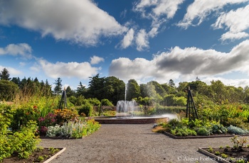 Glamis Castle, The Walled Garden