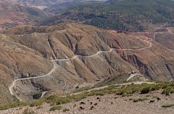 Tizi n'Test-bjergpas i High Atlas - Marokko