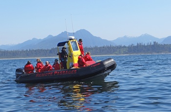 På hvalsafari fra Tofino, Vancouver Island, British Columbia i Canada