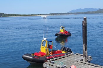Både til hvalsafari fra Tofino, Vancouver Island, British Columbia i Canada
