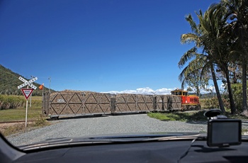 Tog med last af sukkerrør nær Mackay i Queensland - Australien