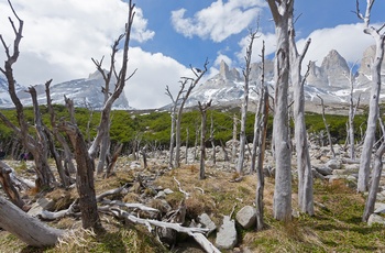 Torres Del Paine National Park - Pataginien, Chile