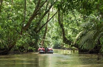 På bådtur med guide gennem regnskoven i Tortuguero National Park - Costa Rica
