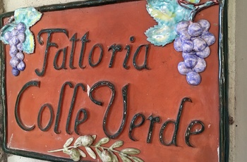 Skilt med navnet på vingården, Fattoria Colle Verde i Toscana