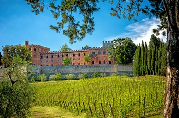 Vinslottet  Castello di Brolio i Toscana