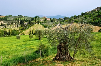 Landskab i Chianti området, Toscana