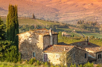 Lille vingård i Chianti Classico området, Toscana