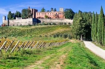 Vinslottet Castello di Brolio omgivet af vinmarker i Toscana