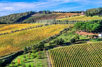 Vinområdet Chianti i Toscana, Italien