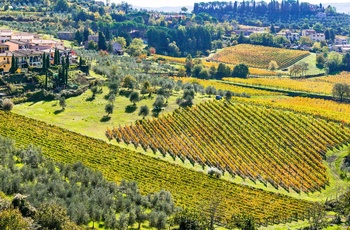 Vinområdet Chianti i Toscana, Italien