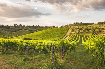 Poggio Casciano, vinområde i Toscana, Italien