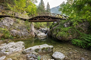 Træbro i Enipeas-kløften i Olympus National Park - Grækenland