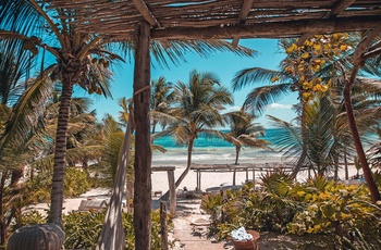 Strand ved Tulum på Yucatán-halvøen i Mexico - Foto: Roberto Nickson, Unsplash