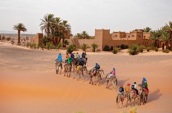 Turister på kameltur ved landsbyen Merzouga - Marokko