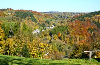 Det bølgende landskab i efterårsfarver i Erzgebirge området - Midttyskland
