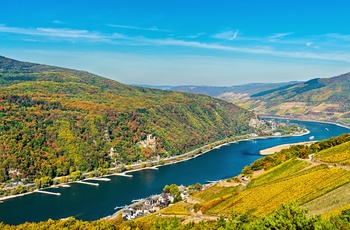 Udsigt til Assmannshausen og vinmarker ved floden Rhinen, Midttyskland