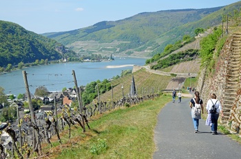 På vej til Assmannshausen og vinmarker ved floden Rhinen, Midttyskland