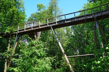 Baumwipfelpfad, Tree Top Walk i Bayerischer Wald nationalpark, Sydtyskland