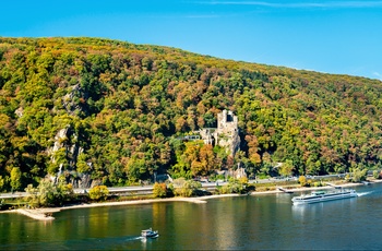 Burg Rheinstein ved floden Rhinen, Midttyskland