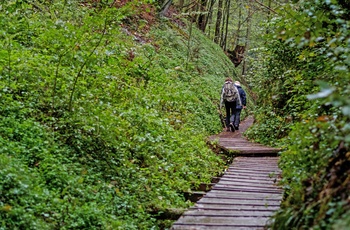 Dragekløften i Thüringer Wald, Thüringen i Tyskland