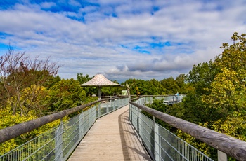 Tree-top walk i Nationalparken Hainich, Thüringen i Midttyskland