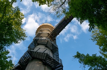 Udsigtstårn og Tree-top walk i Nationalparken Hainich, Thüringen i Midttyskland