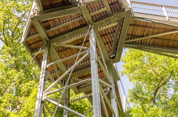 Baumwipfelpfad Harz, treetop walk, gangbro i træerne i Harzen, Midttyskland