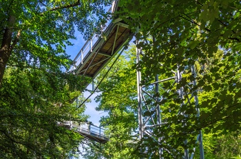 Baumwipfelpfad Harz, treetop walk, gangbro i træerne i Harzen, Midttyskland