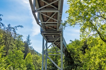 Baumwipfelpfad Harz, treetop walk, gangbro i træerne i Harzen, Midttyskland