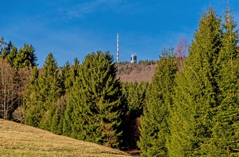 Naturen omkring Inselberg, Thüringen i Tyskland