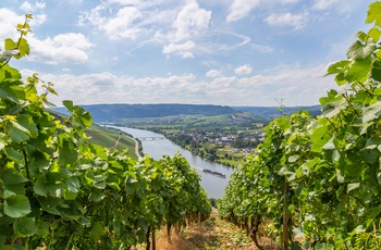 Vinmarker og udsigt til Longuich ved Mosel, Tyskland