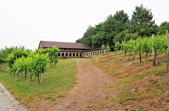 Villa Urbana fra romertiden i Longuich nær Mosel, Tyskland