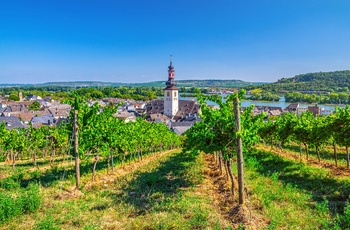 Vinmarker og byen Rudesheim og St. Jakobus kirken ved Rhinen, Tyskland